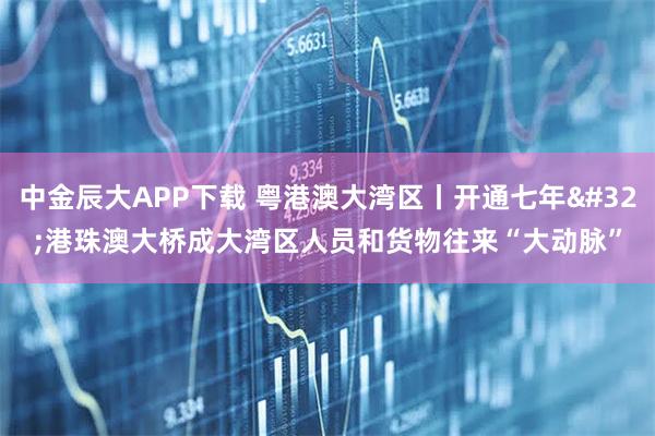 中金辰大APP下载 粤港澳大湾区丨开通七年 港珠澳大桥成大湾区人员和货物往来“大动脉”