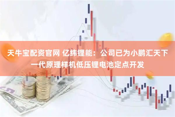 天牛宝配资官网 亿纬锂能：公司已为小鹏汇天下一代原理样机低压锂电池定点开发